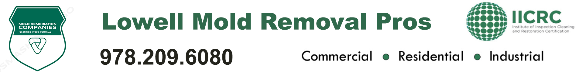 Lowell Mold Removal Pros