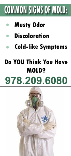 Lowell Mold Remediation Contractor